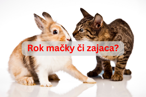 Preo je vo Vietname rok maky, ale v ne rok zajaca?