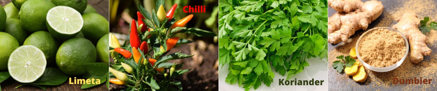 Liečivé ingrediencie vo vietnamskej kuchyni - limetka, chilli, koriander, zázvor - Papaya Bratislava