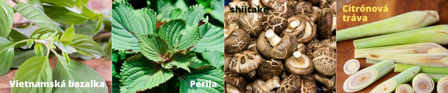 Liečivé ingrediencie vo vietnamskej kuchyni - bazalka, perila, shiitake, lemongrass - Papaya Bratislava