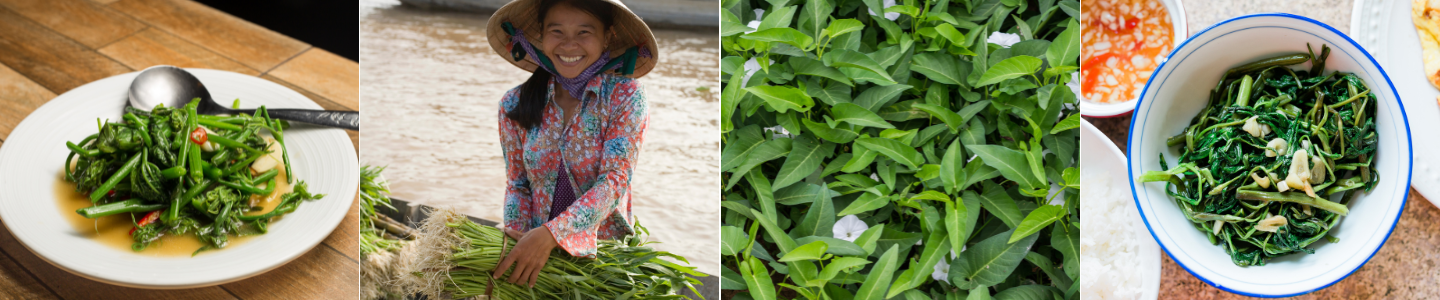 Rau muong alebo morning glory, rann� n�dhera - zelenina, ktor� je s��as�ou vietnamskej kuchyne